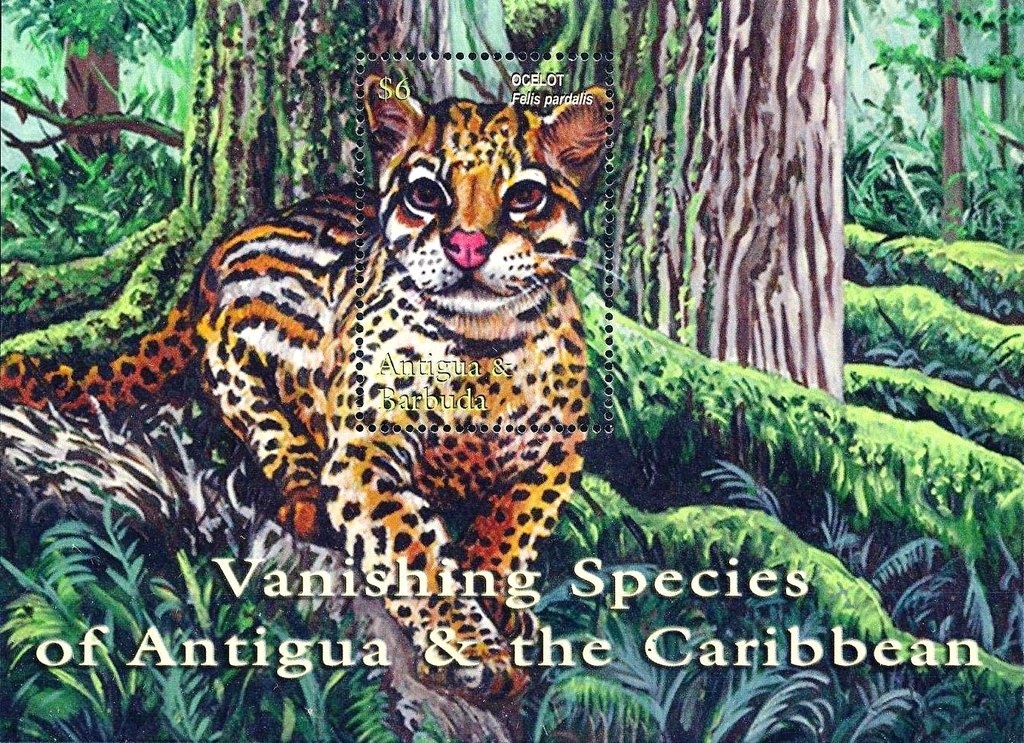 Catamarca, Cuesta de Zapata - no wmk, phosphor.