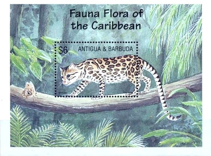 Dr. Osvaldo Magnasco (1864-1920)