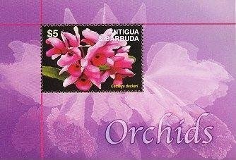 Sunflower - Larger size, no wmk