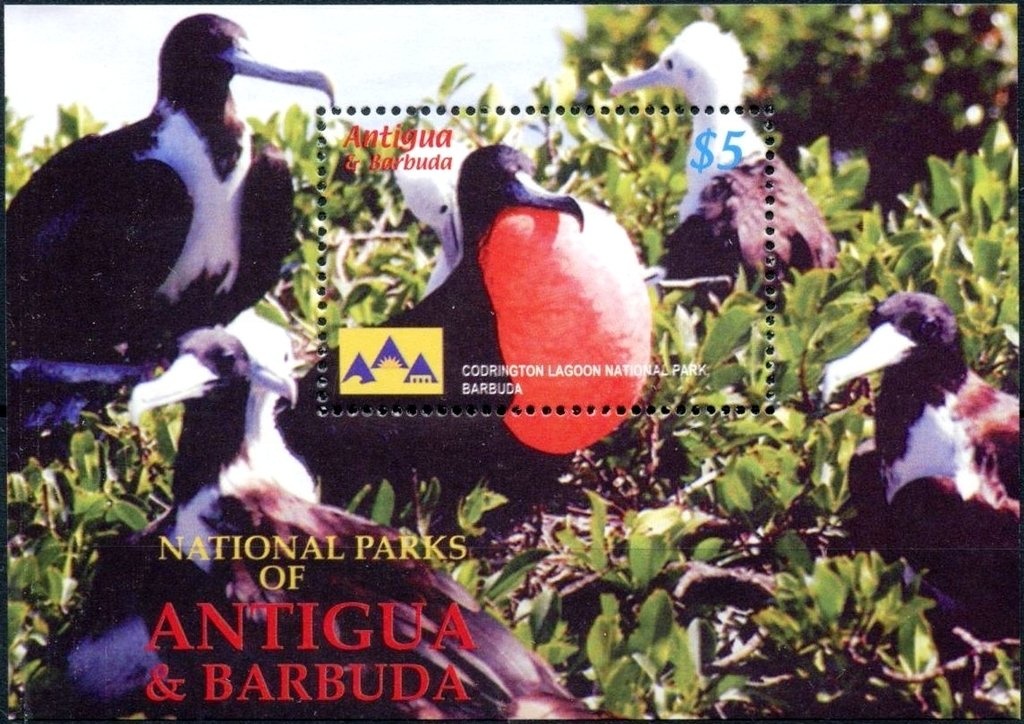 International Year of the Ocean (2)