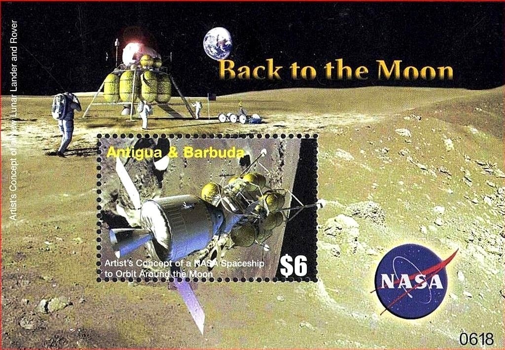 Andean Condor (Vultur gryphus) Blue Overprint