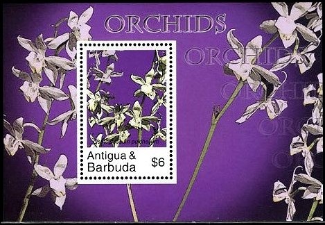 José Francisco de San Martín (1778-1850)