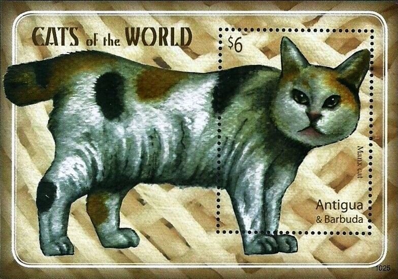 Marine Life of the Tropics