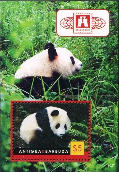 Fan Coral and Tube Coral