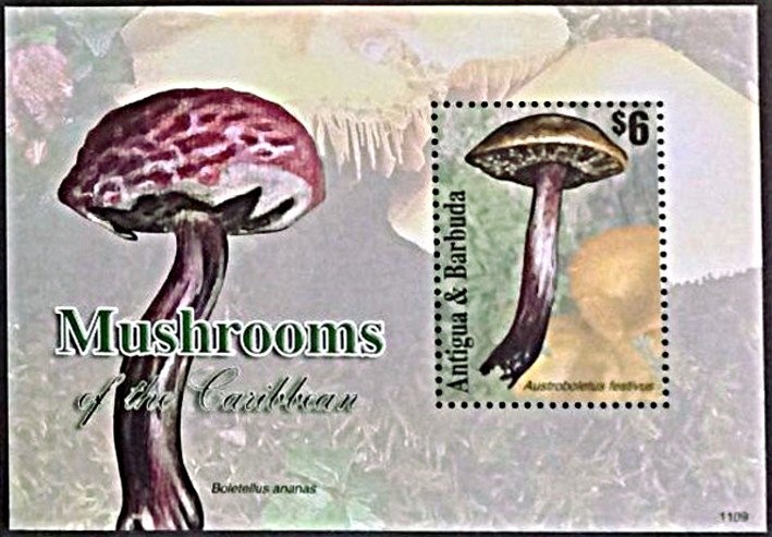 Centenary of Presidency of Bernardino Rivadavia (1780-1845)