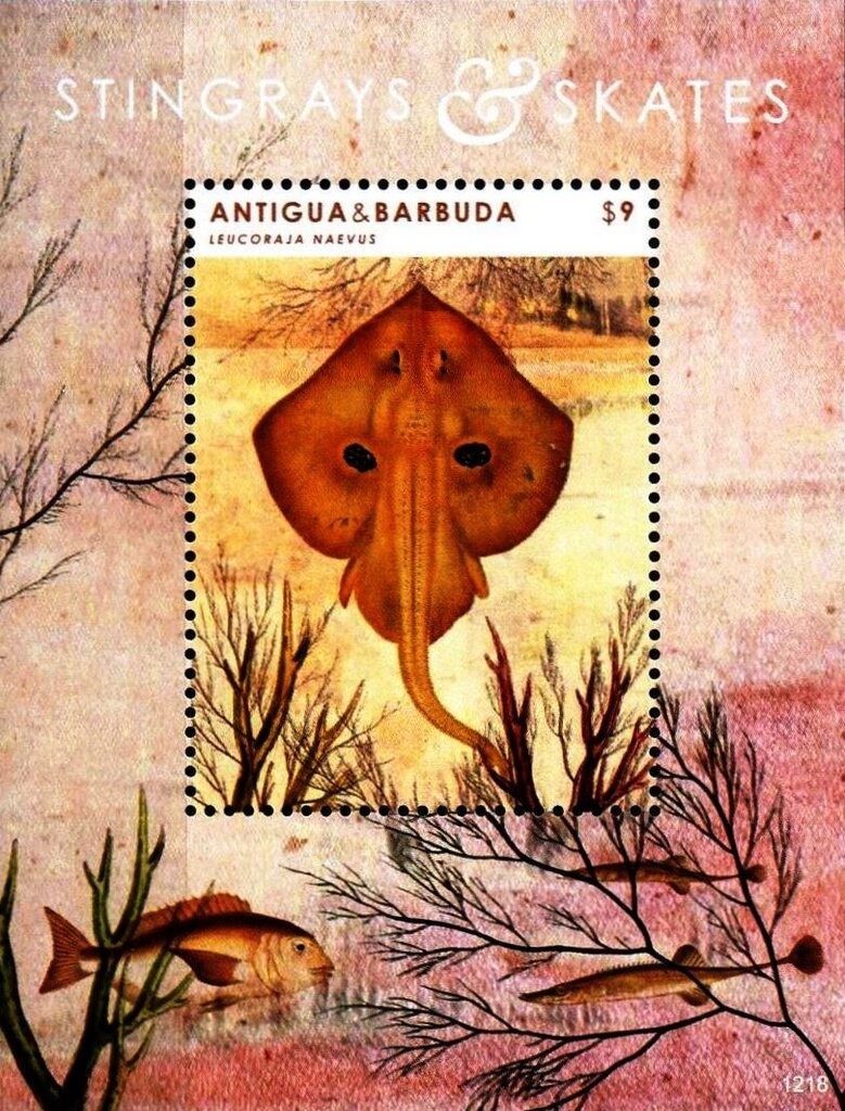 Rabbits of the World