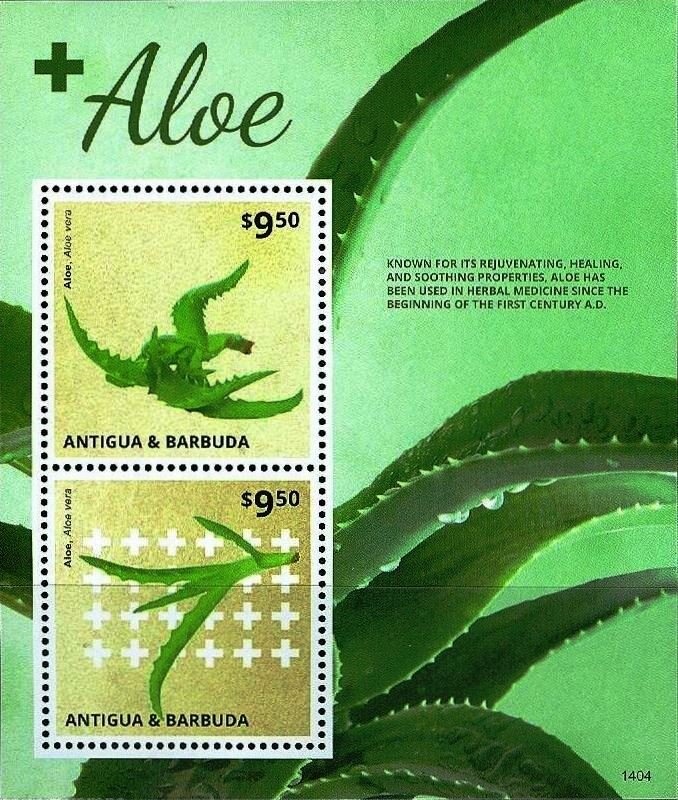 Air Mail - Stylized aircraft