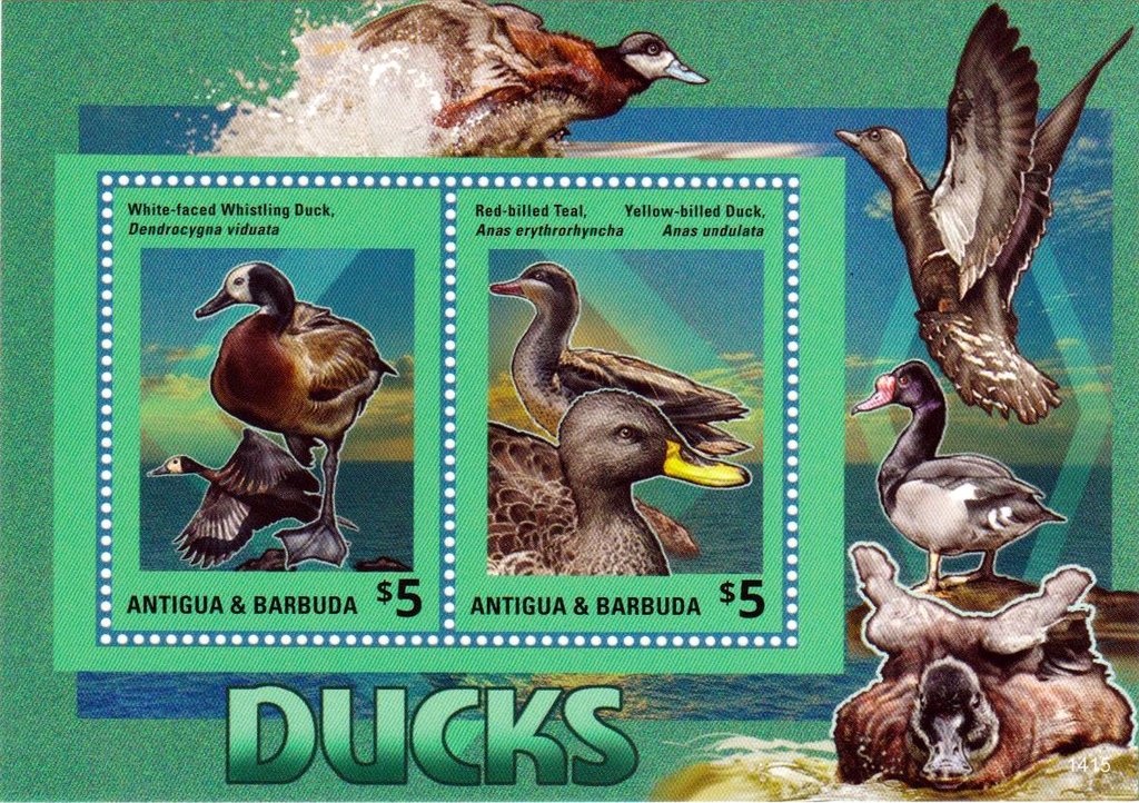 José Francisco de San Martín (1778-1850)