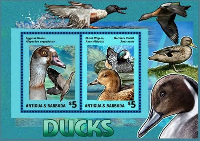 Mariano Moreno (1778-1811), Politician, Writer