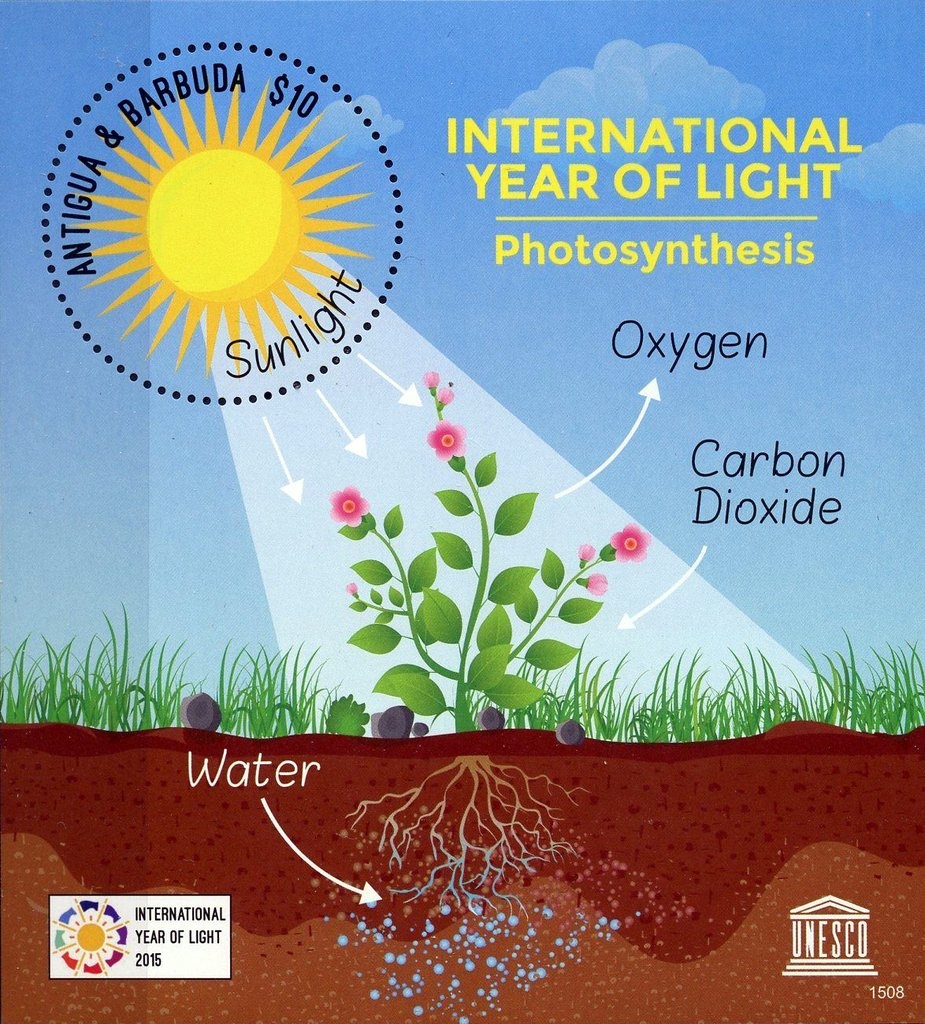 José Francisco de San Martín (1778-1850) - Lined background