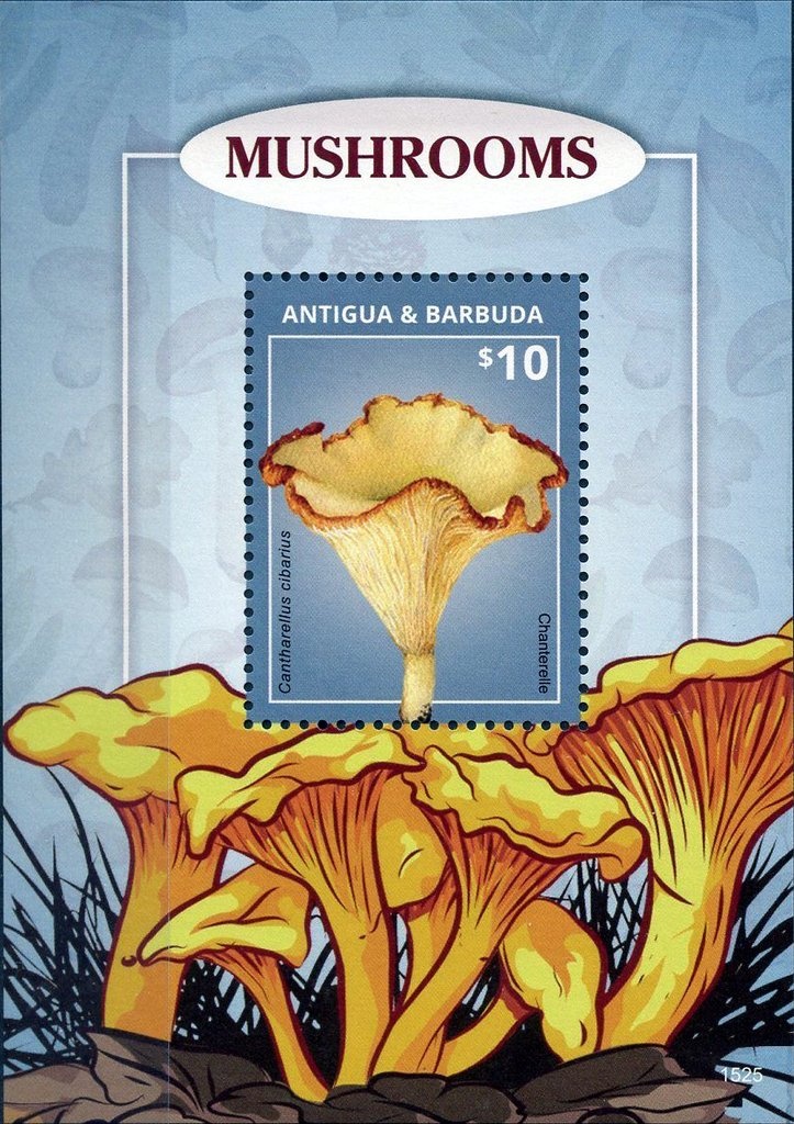 First Air Mail Postmark from Antigua, September 1929