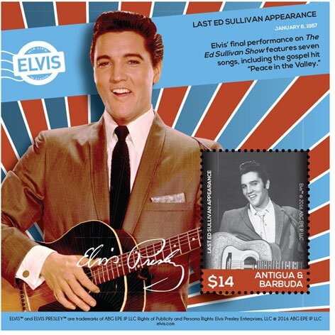 Caribbean Reef Shark (Carcharhinus perezi)