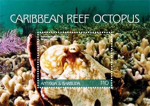 A very Klingon Christmas