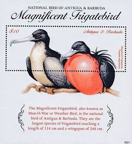 20th Anniversary of UNESCO