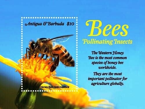 Air Mail - Stylized aircraft - No wmk