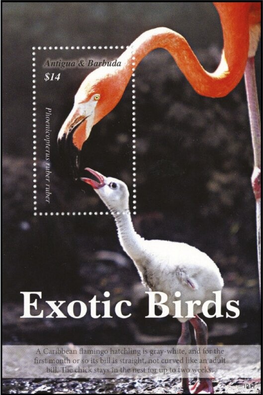 Bernardino Rivadavia (1780-1845) - Crossed background