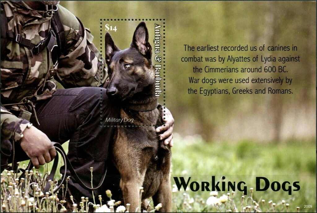 Government House - Overprinted