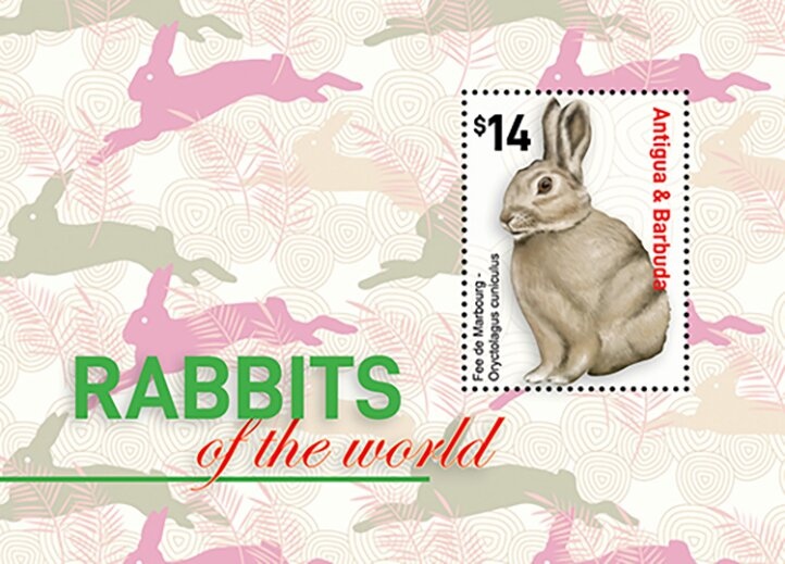 Elvis Presley in "King Creole"