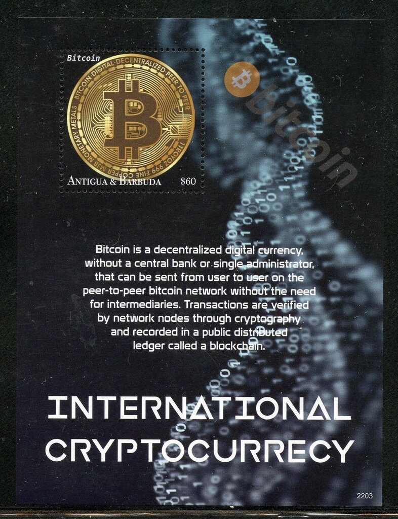 Merino Sheep (Ovis aries)