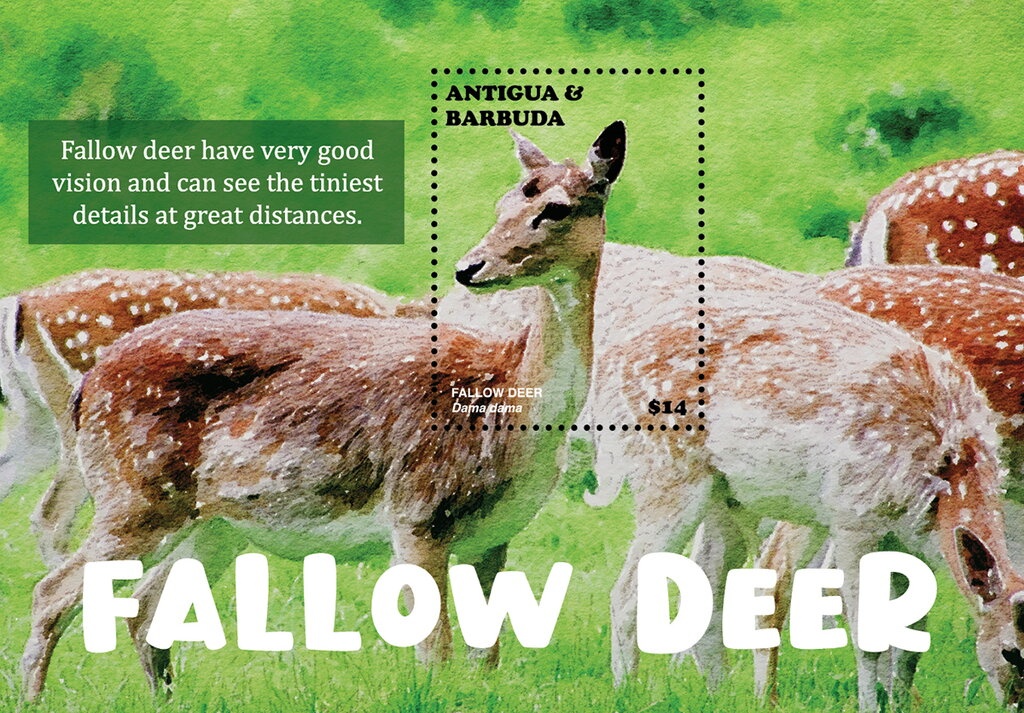 William McKinley, 1843-1901