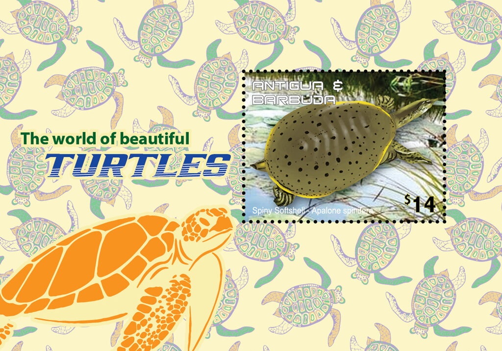 Vanishing Species of Antigua and the Caribbean