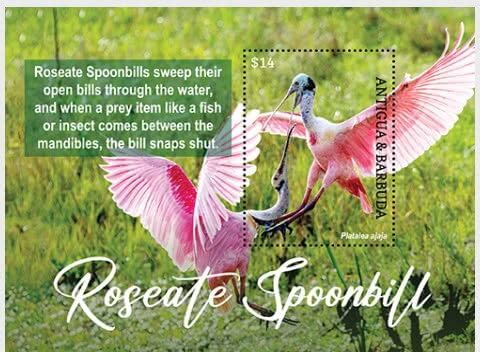 Rare stamps of the world - Saxony