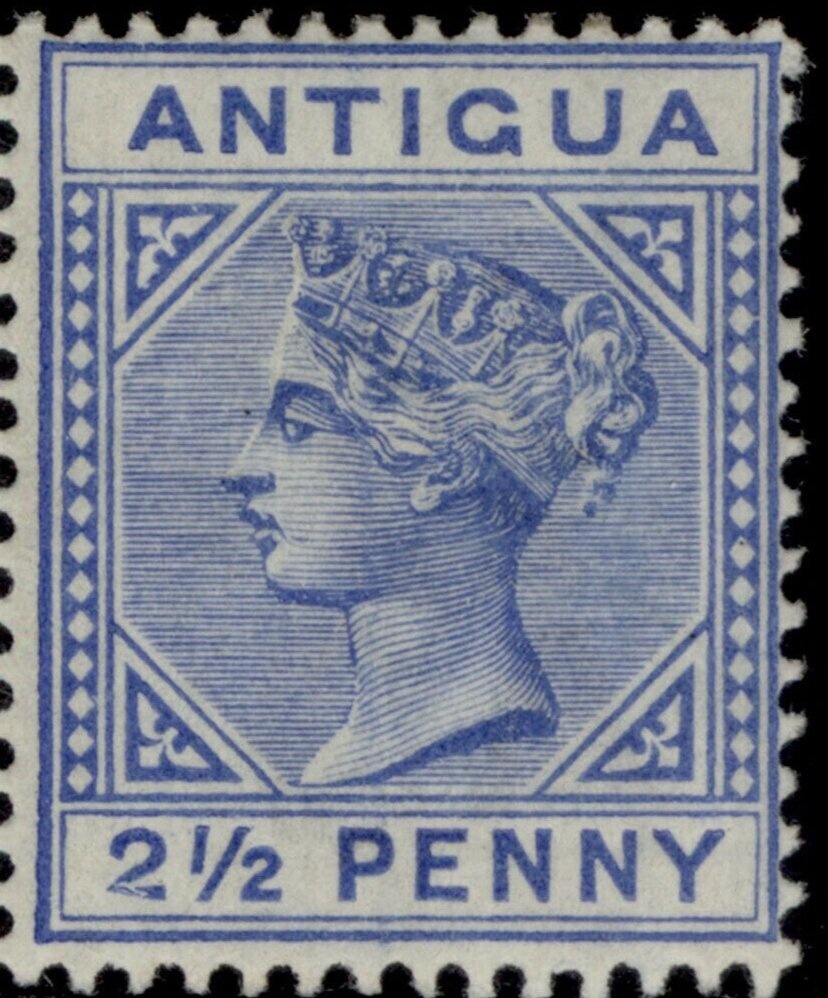 Puerto Soledad Base, Malvinas sheet, fauna