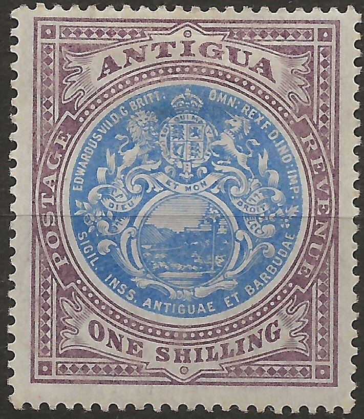 Caribbean Reef Shark (Carcharhinus perezi)