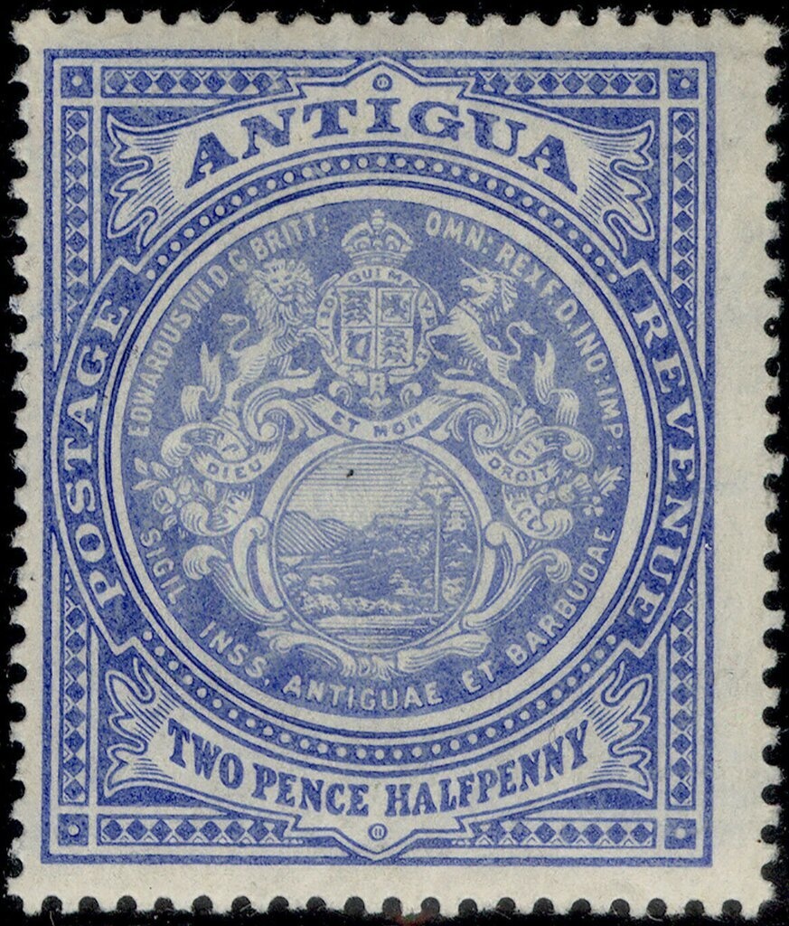 Sugarcane Plantation