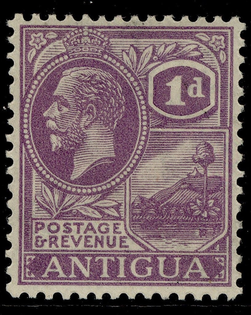 Common Fallow Deer (Dama dama) Stag facing Left