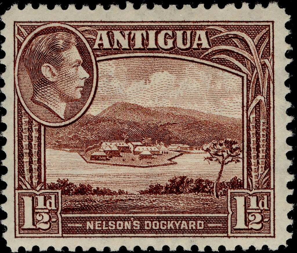 National Council of the child