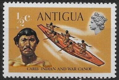 Knob-billed Duck (Sarkidiornis melanotos)