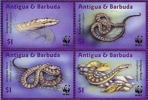 Pro victims of earthquake in San >Juan