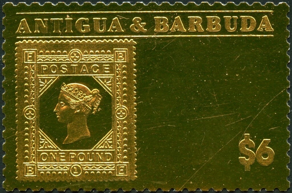 Brain Coral (Faviidae)