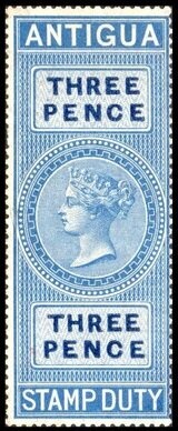 Jaguarundi (Puma yagouaroundi)