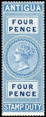 King Penguin (Aptenodytes patagonica)