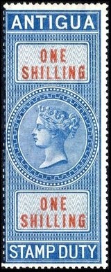 Puma (Felis concolor)