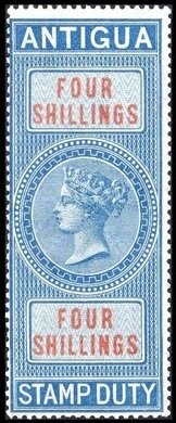 Black Lapacho (Tabebuia ipe) - Fluo