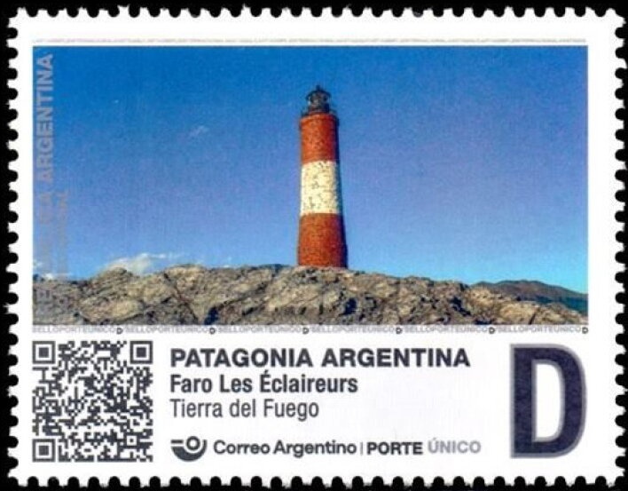 Appaloosa (Equus ferus caballus)