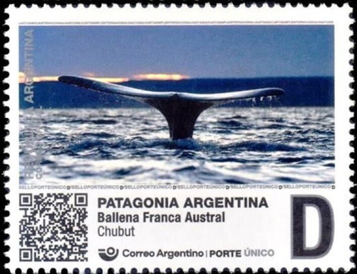 Martin M-130 Flying Boat over St. John's Harbour