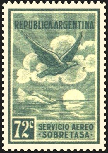 Andean Condor (Vultur gryphus)