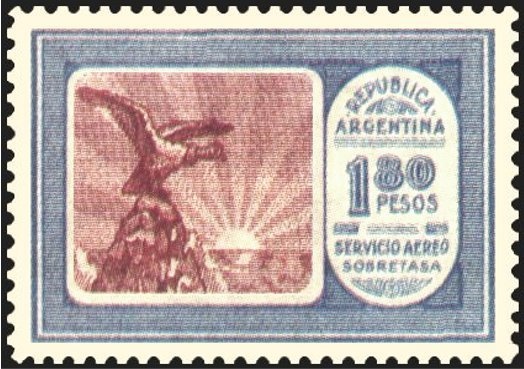 Puma (Felis concolor)