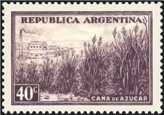 Yellow-headed Caracara (Milvago chimachima) Blue Overprint