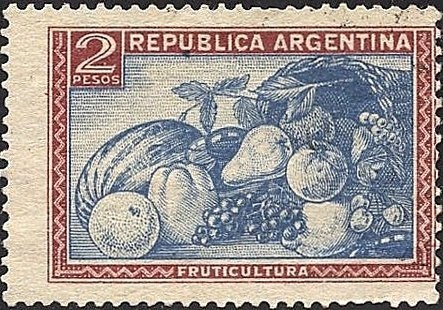 Guaran Amarillo - Guaranday (Tecoma stans) - Phosphor