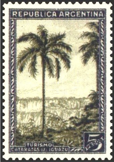 Fallow Deer (Dama dama)