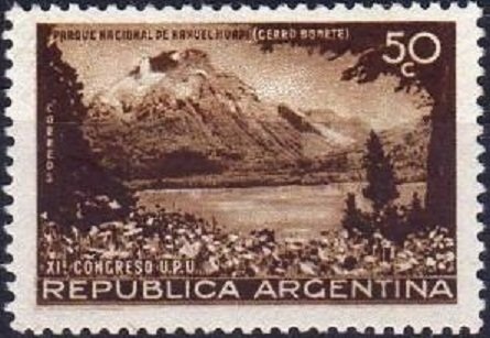 Saffron-crowled Blackbird (Xanthopsar flavus)