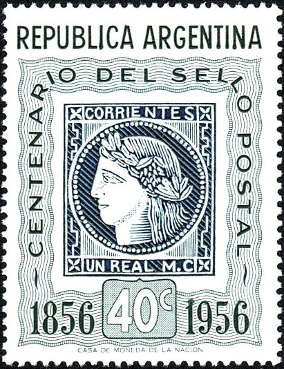 Common Eider (Somateria mollissima)