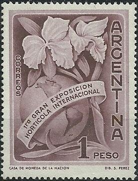 Juan Bautista Alberdi (1810-1884), Politician, Writer