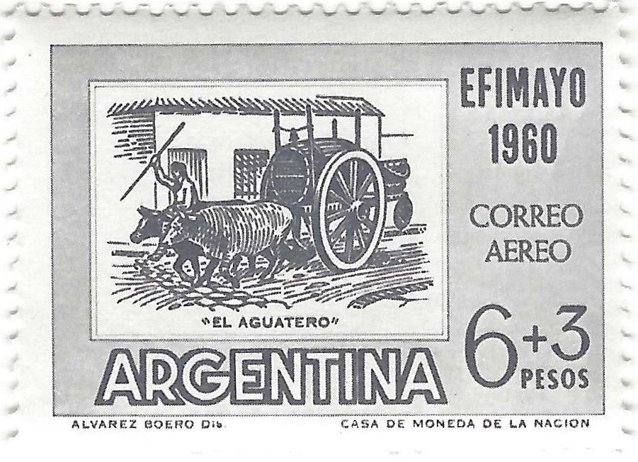 Gray Crowned Crane (Balearica regulorum)