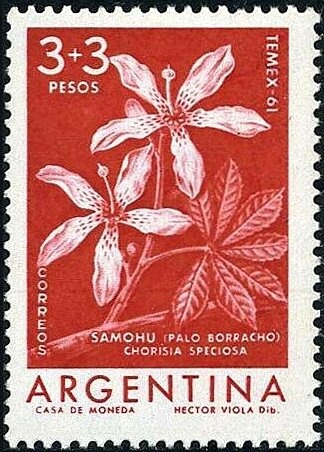 The March of Freedom Fighters